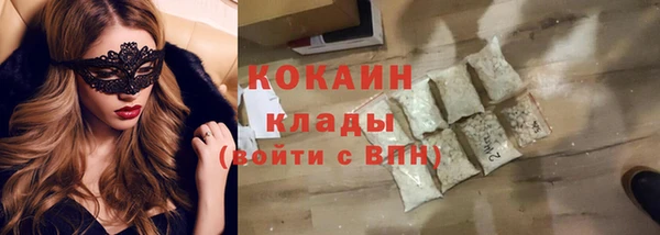 крисы Белокуриха