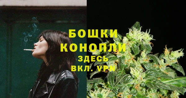 крисы Белокуриха