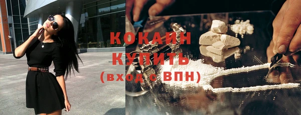 крисы Белокуриха