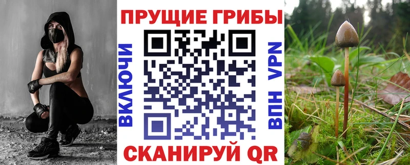 купить   кракен онион  Галлюциногенные грибы мухоморы  Пионерский 